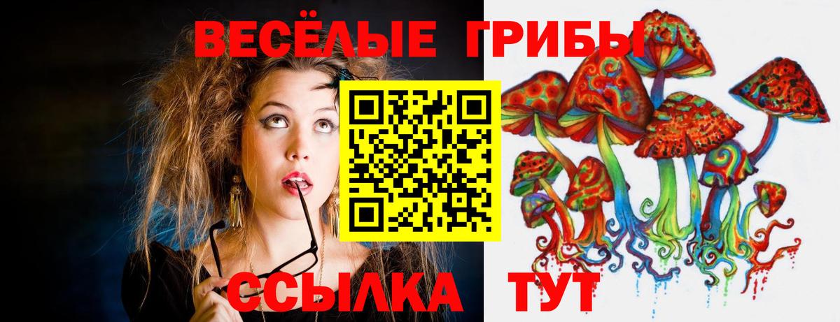 Галлюциногенные грибы Cubensis Лангепас